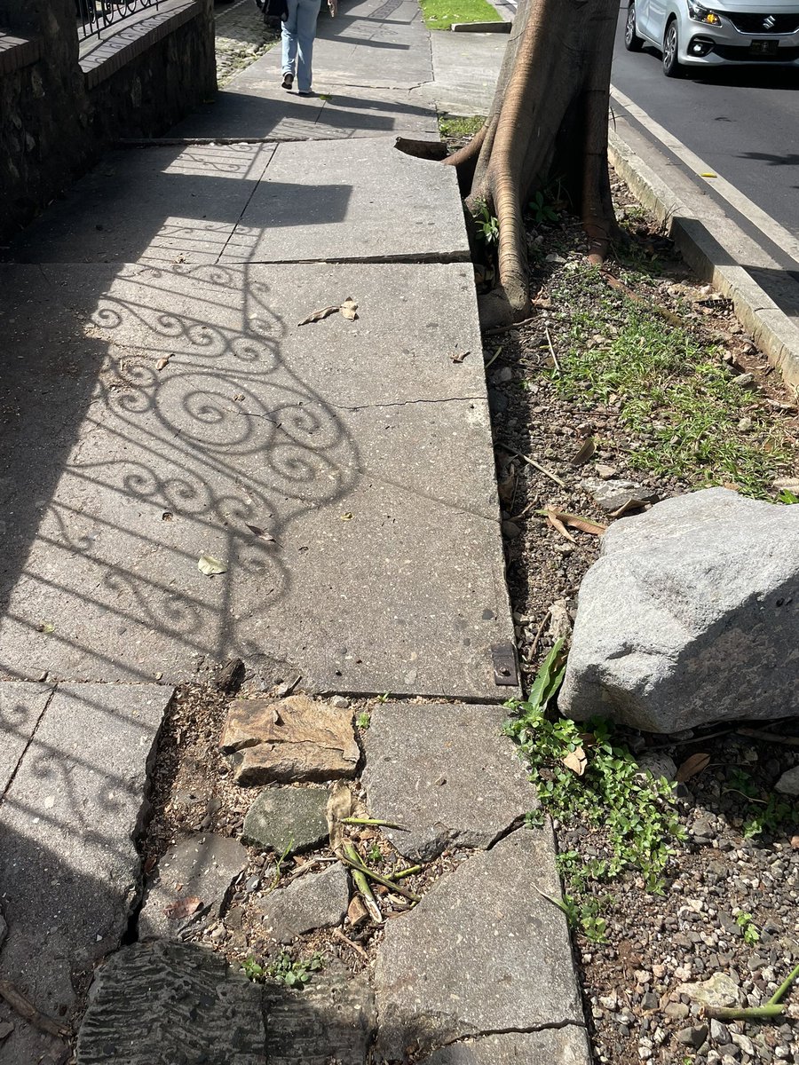 freddypitti's tweet photo. Agentes Municipales brindaron ayuda a un adulto mayor que sufrió una caída por el pésimo estado de la acera. Se dio un fuerte golpe en la cabeza. 

Esto es algo de todos los días. ¿Cuándo nos vamos a tomar en serio la recuperación de aceras? 

#MovilidadSegura https://t.co/Fzy8Y3xliS