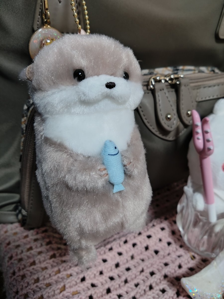rosemarimimi's tweet photo. カワウソうそやん😀✨

可愛いすぎる🫰❤️ https://t.co/M7XnuP6e55