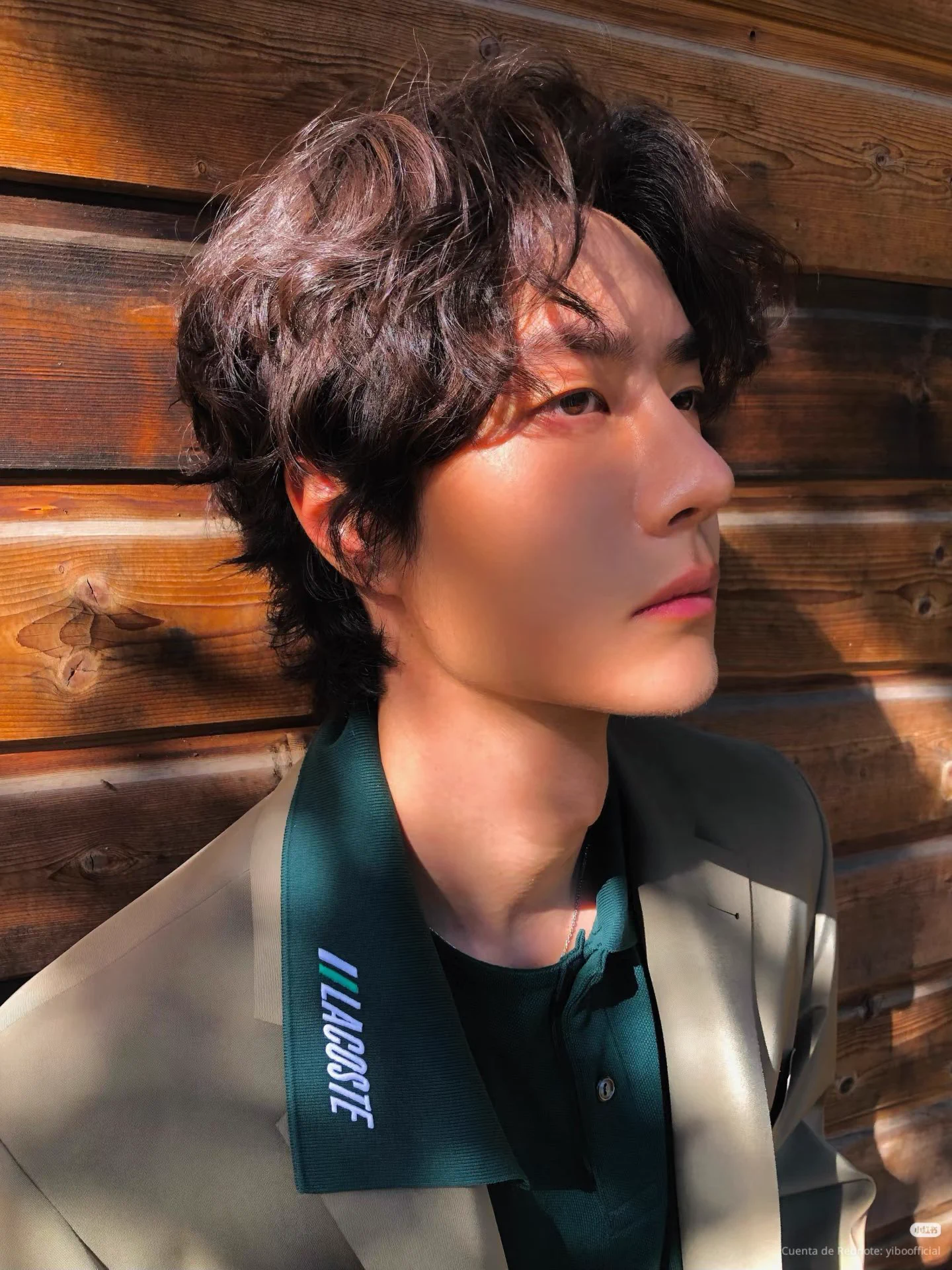 ✿˙❥˙ZhanBo˙❥˙✿ on X: 