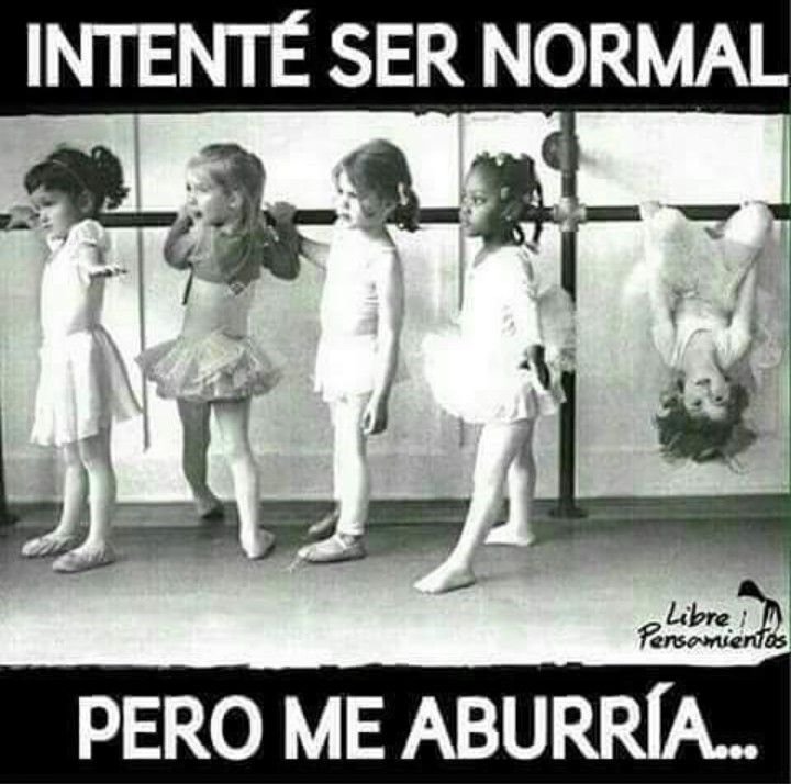 FernandaRalich's tweet photo. https://t.co/OlIhwx7Ebc