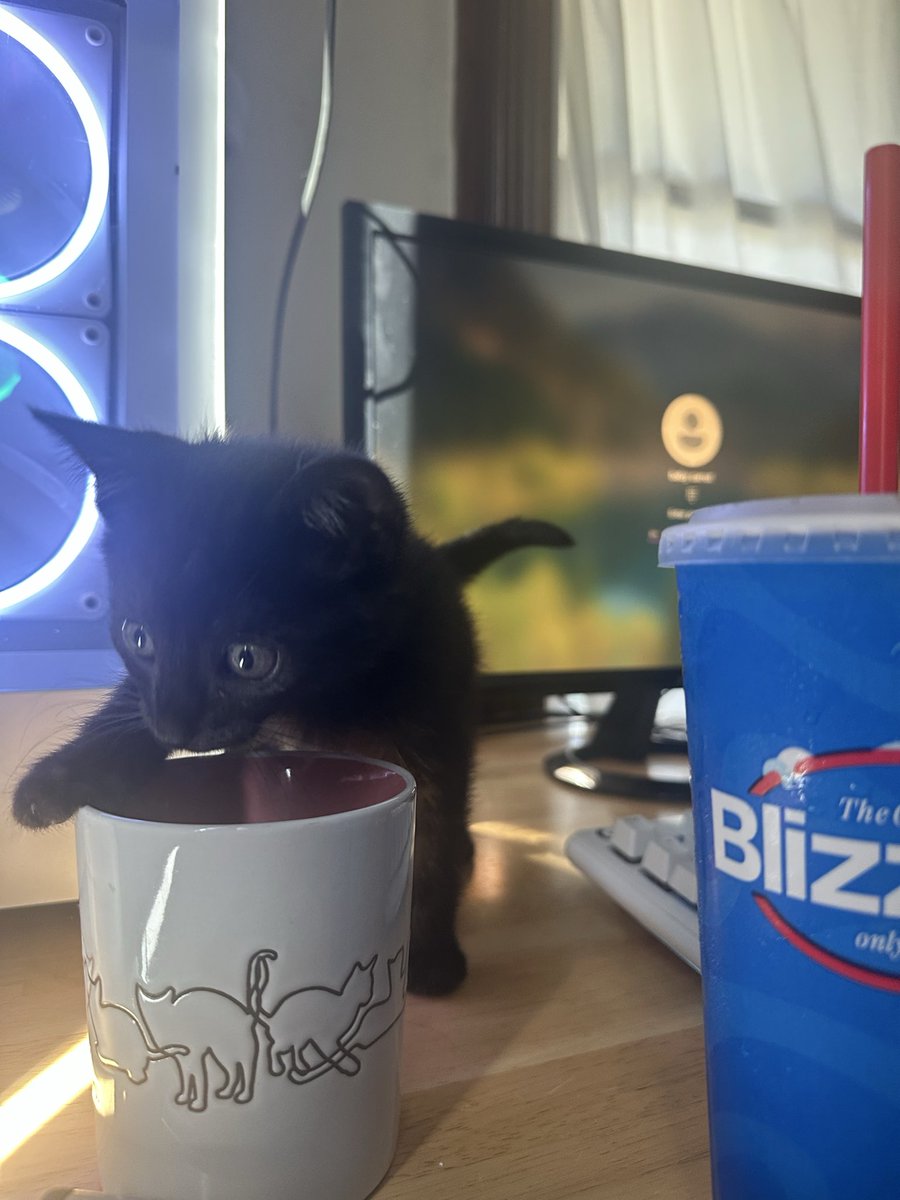 dovethedivine's tweet photo. is he aware? like in general? https://t.co/mV8dkxUaH3