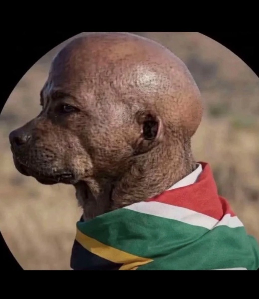 Frank_Riziki's tweet photo. A South African newborn! https://t.co/yYrMQahGJD