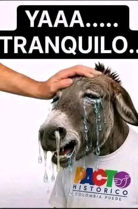 juanchy23's tweet photo. @Laura_Ardila_A @ABDELAESPRIELLA @YahirAcuna_ https://t.co/c0F4oJjwsT