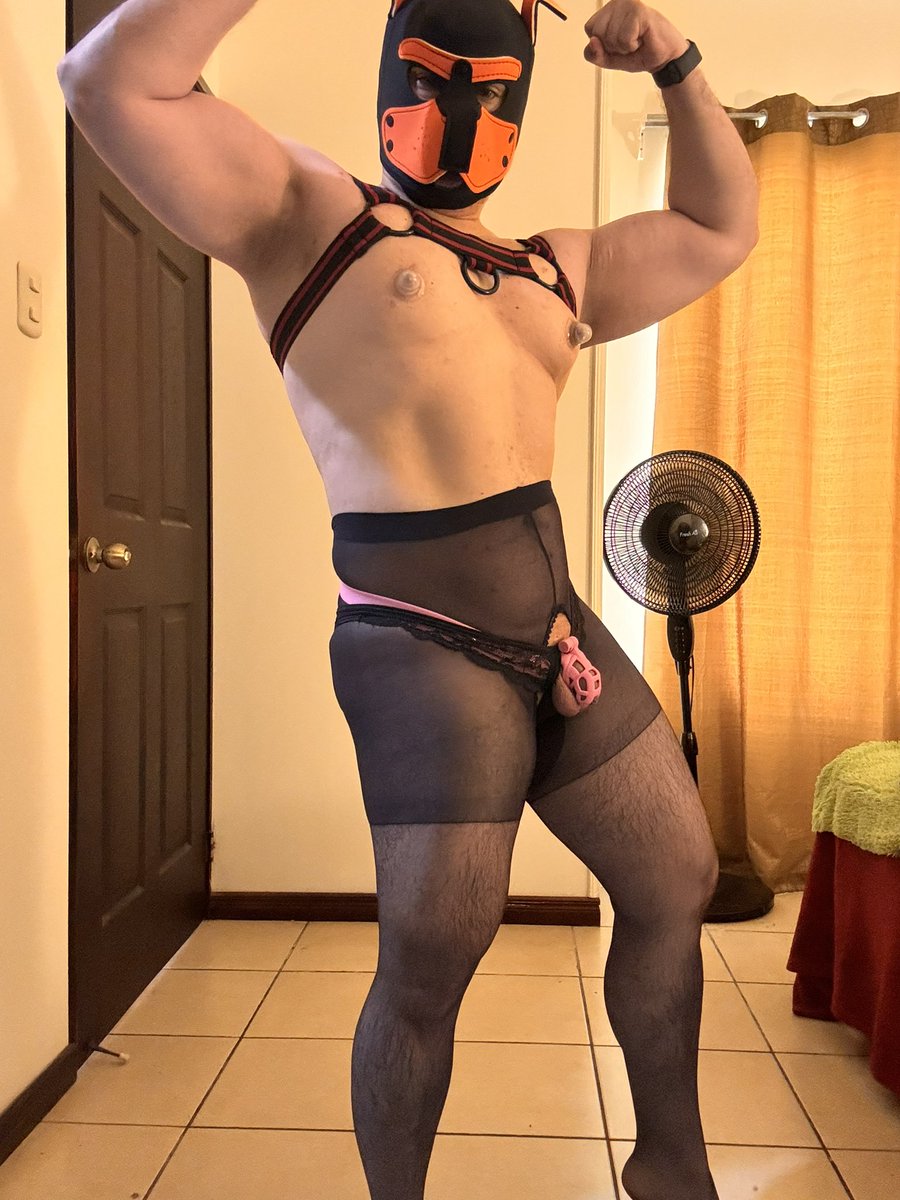 ProudThonger's tweet photo. Day 5 of #Locktober y’all! #pussyboypup #pussyboy #mancunt #manclit #cagedclit #beefyboy #beefycunt #boypussy #thonger #thong #teamlocked #gaychastity #cagecheck #chastityclub #teamuncut #chastity #malechastity #lockedcock #alphapup #ass #clitboy #pantyhose #menintights #nylon https://t.co/xJcXuDg3w7