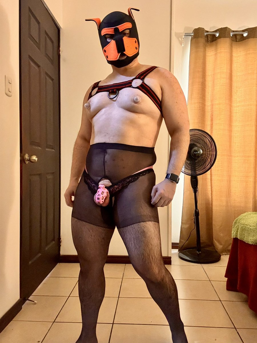 ProudThonger's tweet photo. Day 5 of #Locktober y’all! #pussyboypup #pussyboy #mancunt #manclit #cagedclit #beefyboy #beefycunt #boypussy #thonger #thong #teamlocked #gaychastity #cagecheck #chastityclub #teamuncut #chastity #malechastity #lockedcock #alphapup #ass #clitboy #pantyhose #menintights #nylon https://t.co/xJcXuDg3w7