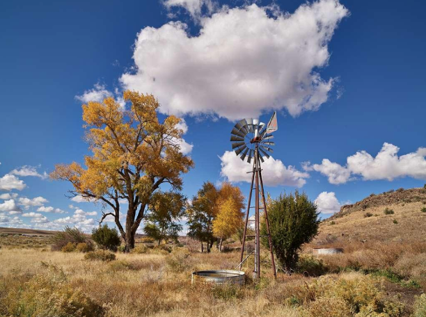 bandy1803's tweet photo. Fall Scene Near Springerville, Arizona
Photo: Barbara Barrett https://t.co/wmZxVGKRUM