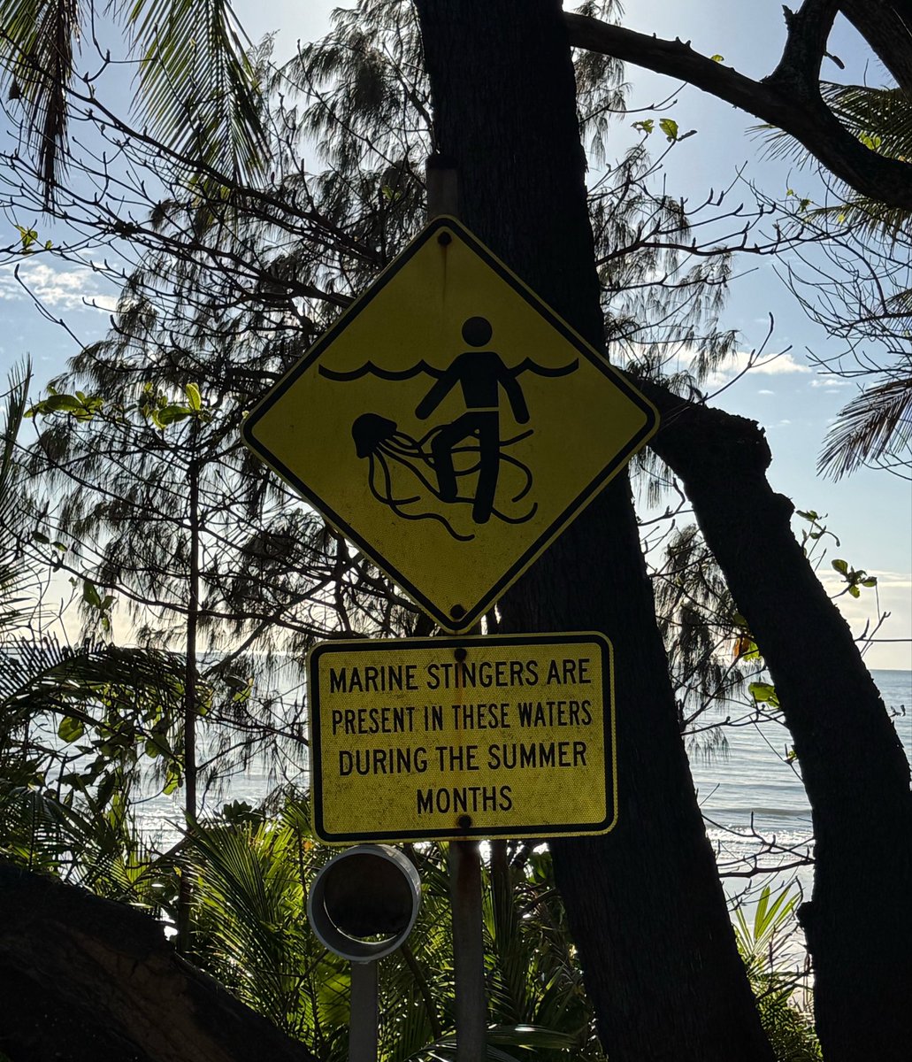 bu5nny's tweet photo. average spiaggia in australia https://t.co/xgHphK9iPQ