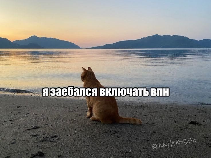 jkxvsl's tweet photo. уже готов головой о стену биться https://t.co/va15YLlaT8