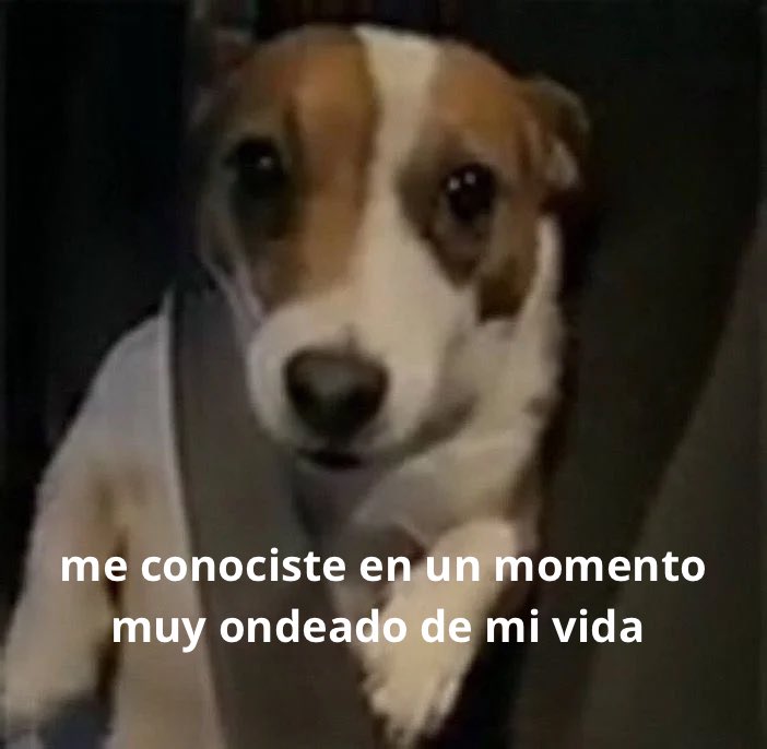 conoloracigarro's tweet photo. https://t.co/oT2QQjFTuZ