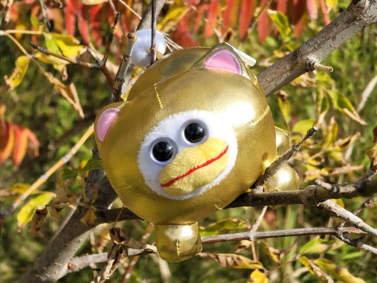 itemLabel's tweet photo. The new itemLabel Drop is Live!
Head over to our website to see all the new items.
Retweet this post for a chance to win a golden peepy! https://t.co/tuKSfYnRPT
