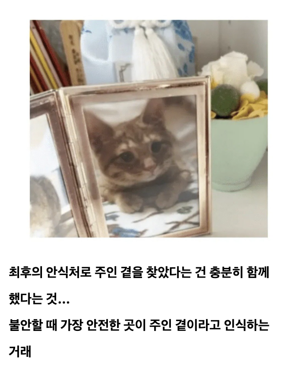 laterinfo_'s tweet photo. https://t.co/xhq8FeEuuw