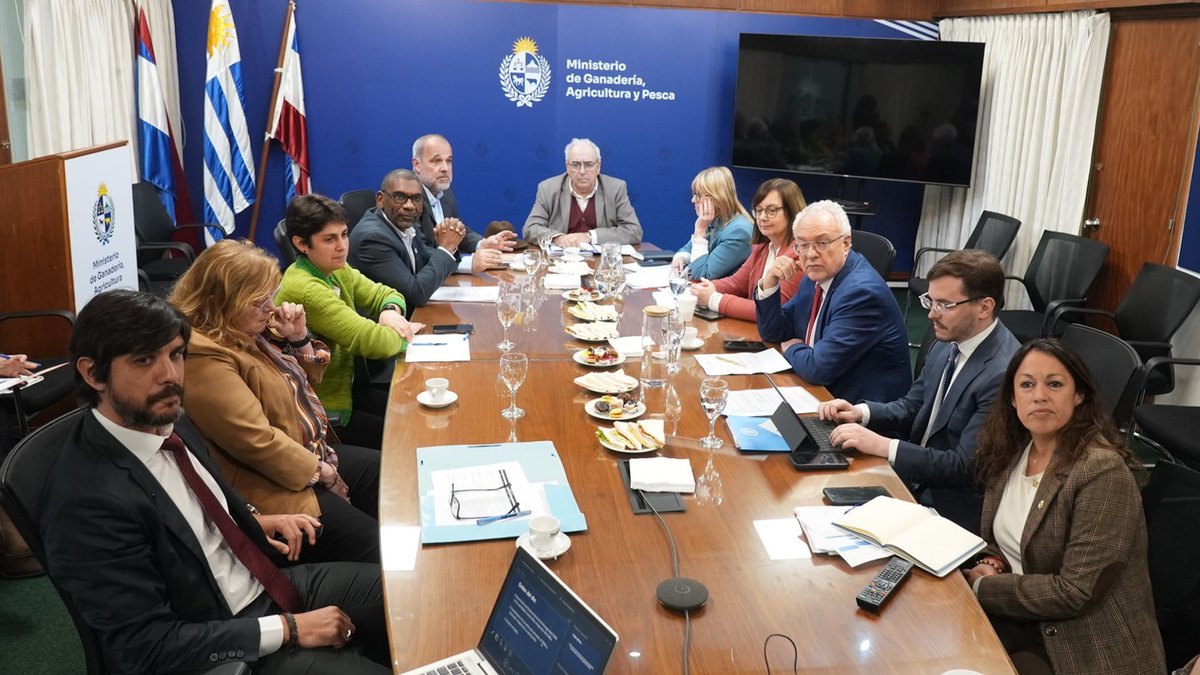 MGAPUruguay's tweet photo. #Hoy se reunió en la sede del #MGAP el Gabinete Nacional de Bioseguridad (GNBio), órgano del Sistema Nacional de Bioseguridad (SNB) integrado por seis ministerios.
Participaron la ministra de @MSPUruguay, Cristina Lustemberg; la ministra de @MIEM_Uruguay, Fernanda Cardona; el ministro de @MAmbienteuy, Edgardo Ortuño; el ministro de @CancilleriaUy, Mario Lubetkin; la directora general de Secretaría del MGAP, Gabriela Facciola, y el ministro de Ganadería, Agricultura y Pesca, @AlfredoFratti.
El GNBio constituye una herramienta clave para garantizar la bioseguridad en Uruguay. Su integración interinstitucional y su sustento científico permiten que las autorizaciones de organismos vegetales genéticamente modificados (OVGM) sean evaluadas con rigurosidad, desde distintas disciplinas y bajo estrictos mecanismos de control.
Los eventos aprobados estarán publicados en los próximos días en el sitio web del SNB: https://t.co/aZM8zvBZ2z