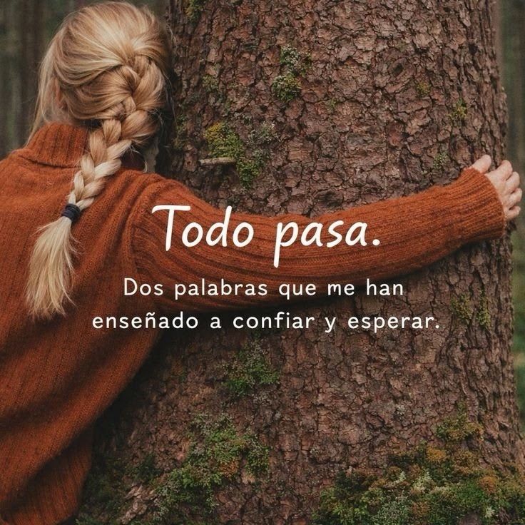 PauloCoelhoDice's tweet photo. https://t.co/shu48LckDx