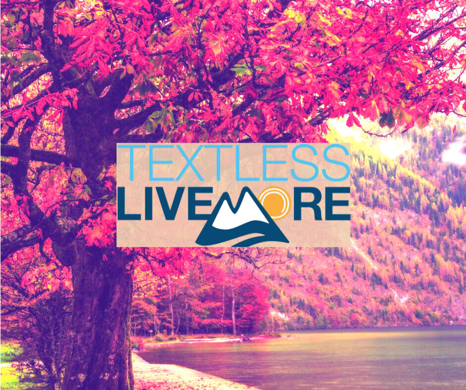 ACTMOPrevention's tweet photo. Text Less Live More is an organization committed to changing the culture of distracted living. Many of us agree that taking a "digital detox" is good for us. What is something you can do this week that involves social interaction, physical activity, or getting outdoors? #LiveMore https://t.co/4orVLSR4yU