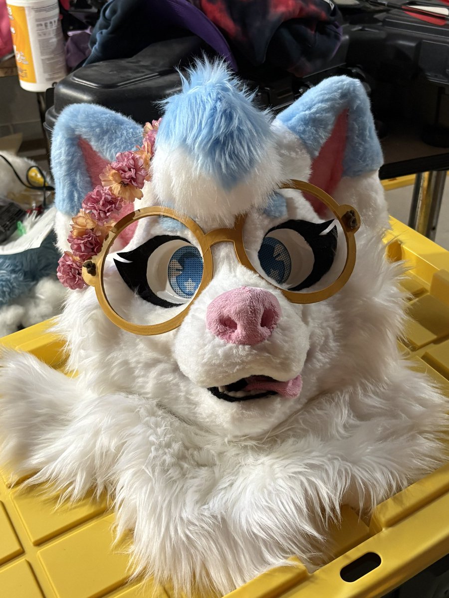 BocaBeansInfo's tweet photo. Flower crown Melo is official- now I need to draw it x3 

#furry #fursuit https://t.co/gudSR4Pd7y
