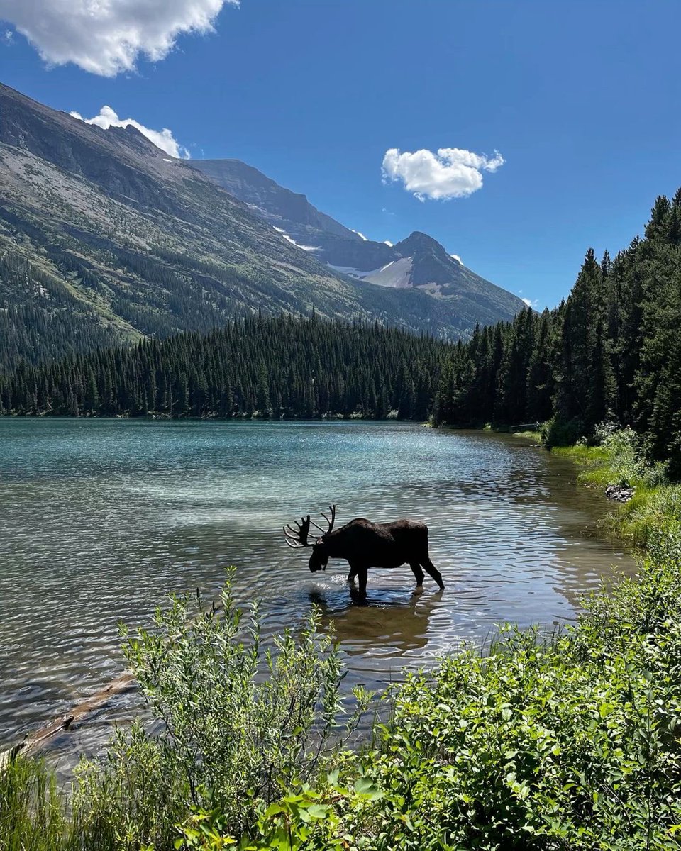 ab_cd_1235's tweet photo. Jasper National Park 🏞️ https://t.co/Z1xd13WP97