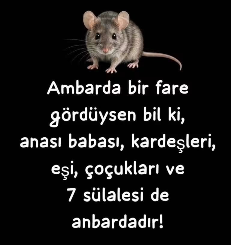 3victoria3_'s tweet photo. Geceye bir söz bırakalım... https://t.co/ua5f5SOHa5