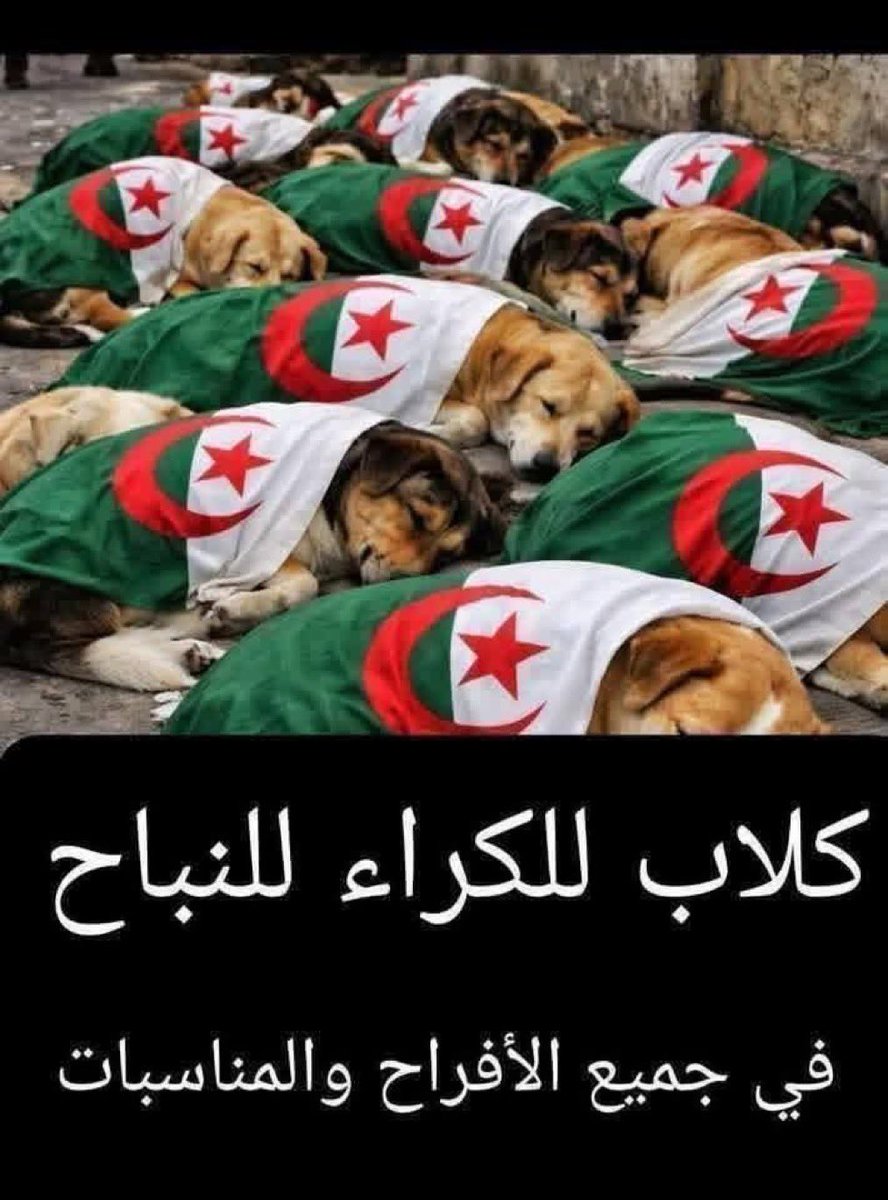 MBNSAID1's tweet photo. @DjamelRaha9459 هههههههه مجرد حشرة مضرة ملعون مهبول المسمى بوحجرة 🤮🤮🇩🇿🇩🇿🤮🤮🇩🇿تفوووووووووو https://t.co/L2e1DcVZFf