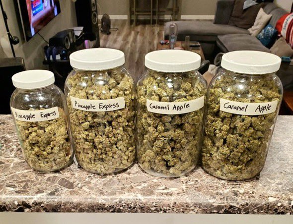IobDutch's tweet photo. A friend of mine just dropped off a pound of Pineapple Express and a pound of Caramel Apple! I have some awesome friends! https://t.co/R1BZYkah2v