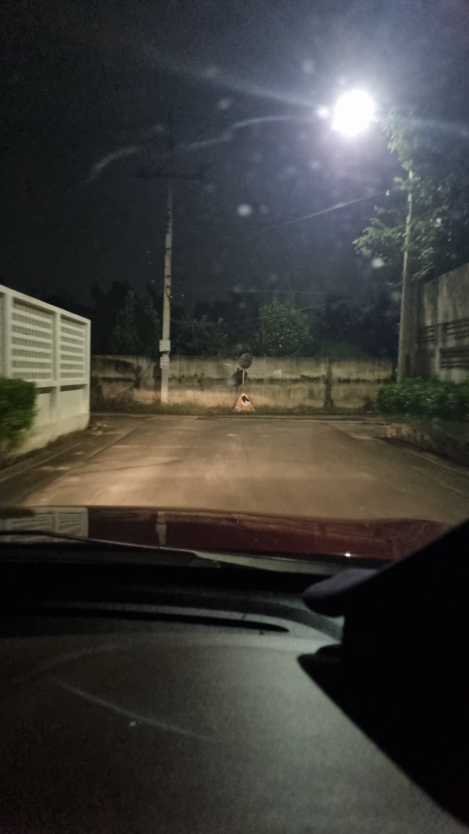 rattanun33's tweet photo. ฝนตกฉ่ำๆจ้า กับเช้านี้ ตั้งแต่ตี 2 เลยนะ ยาวเลย bolt เริ่มได้ #ดอนเมือง #สรงประภา #เมืองเอก ม.รังสิต ทัก https://t.co/mgqAbmC8SE