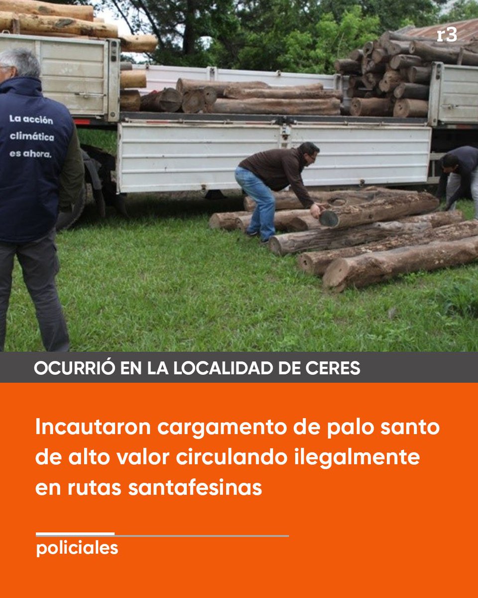 marilostonyou's tweet photo. chicas tengo la protección necesaria para violeta a palo santo limpio https://t.co/ur7ghsfCHM