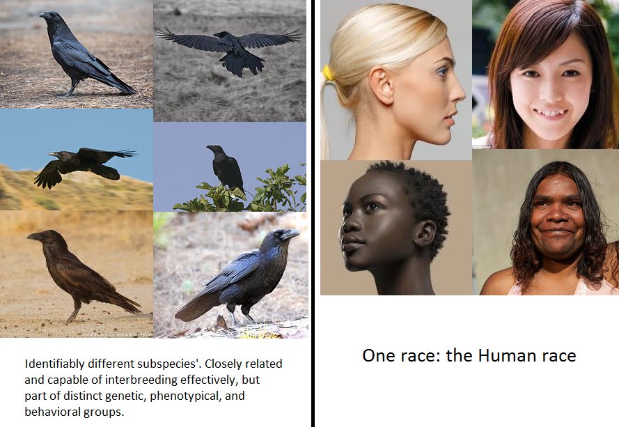 ronzeeoh's tweet photo. @Brandon52786737 @Ferntoverdose Not even close to a similar comparison https://t.co/FoSQU4ydJN