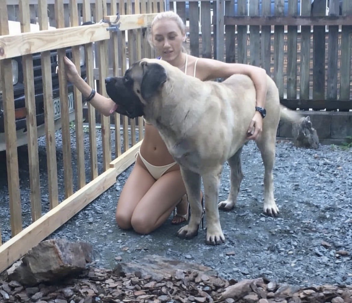 DeHenryco's tweet photo. Come get exclusive K9 content💦🤤
Join me on Telegram for content you won't see anywhere else😋🤤

https://t.co/krZKtMnUJG 

#Bestiality #zooporn #Animalporn #zoophilia #Dogknotting #zoosarevalid #beastiality #dogknot #zooprideisvali #antizoo #antizoophileantizoo #zoopride #usa https://t.co/PobRyct4I2