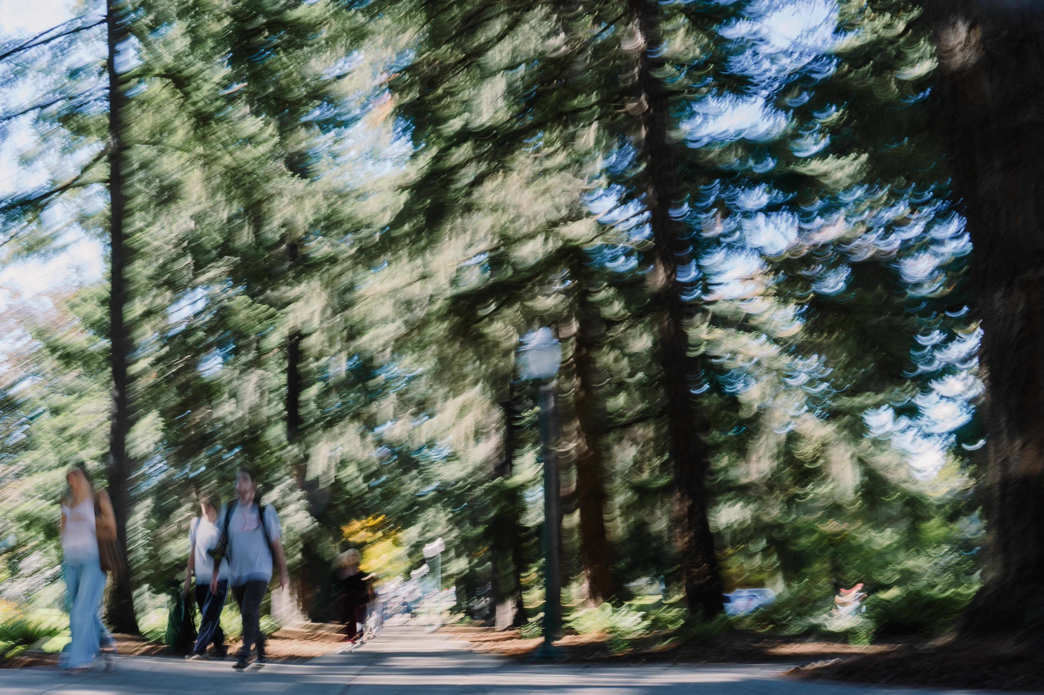 A blurred image shows people walking along a path surrounded by tall trees, likely in a park or natural setting.