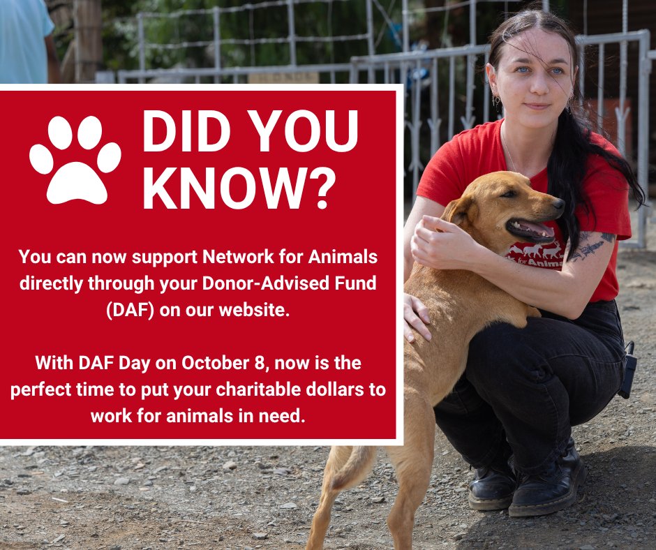 Network4Animals's tweet photo. 🌍 You can now support Network for Animals directly through your Donor-Advised Fund (DAF) on our website🐾❤️.

Recommend a grant wherever the need is greatest or support a project close to your heart.

👉 It’s only a few clicks: https://t.co/fcWbyjndDD https://t.co/xPN260vQ2x