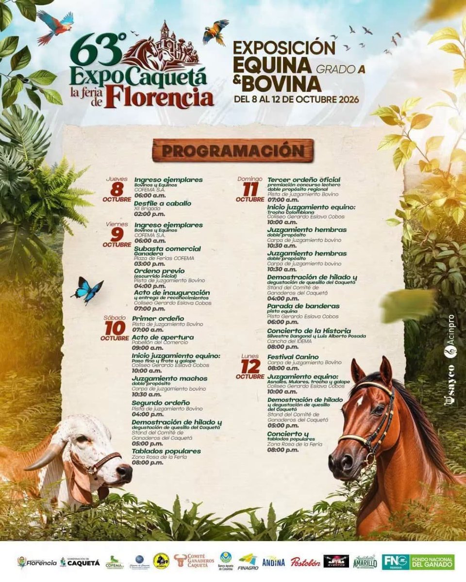 PLFlorencia_'s tweet photo. 🐄🌿 ¡La ganadería caqueteña tiene una cita!

Te invitamos a la 63.ª Feria ExpoCaquetá, un encuentro para celebrar nuestra ganadería, tradición y cultura.

📅 8 al 12 de octubre
📍 COFEMA – Florencia, Caquetá

@jflafaurie @Fedegan 
#ganaderiasostenible https://t.co/rgqiIHp7bj
