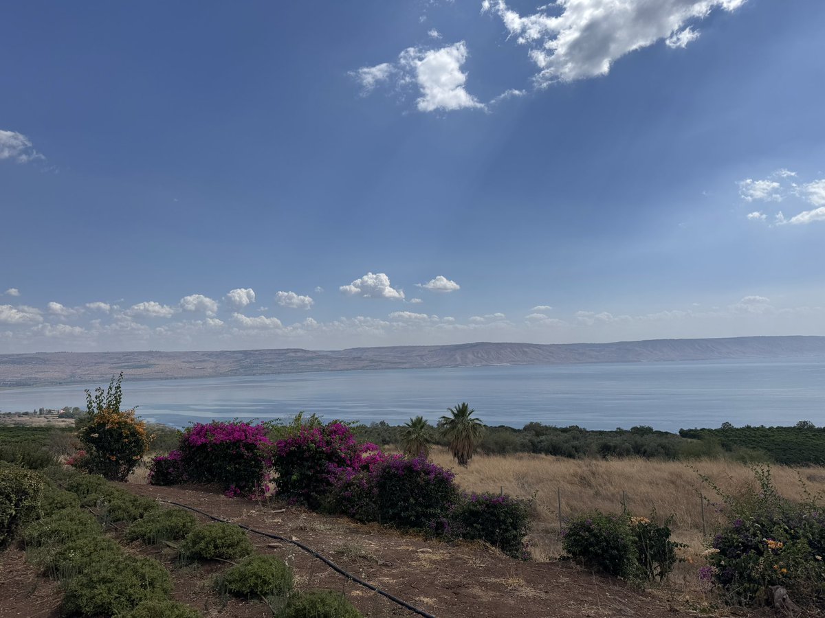 KevinRobertsTX's tweet photo. So grateful for the friendship of Fr. Benedict Kiely, who was gracious enough to lead me and my chief of staff, @stew_whitson, on a religious pilgrimage through the Holy Land. Seeing the Holy Sites in Bethlehem, Galilee, Nazareth, and Jerusalem was a profound experience: the spiritual inheritance in Israel cannot be overstated. It is foundational not only to Christianity but also to the traditions and moral vision that shaped America and the entire West. Our inheritance is precious, and it must be protected.
@benedict_kiely