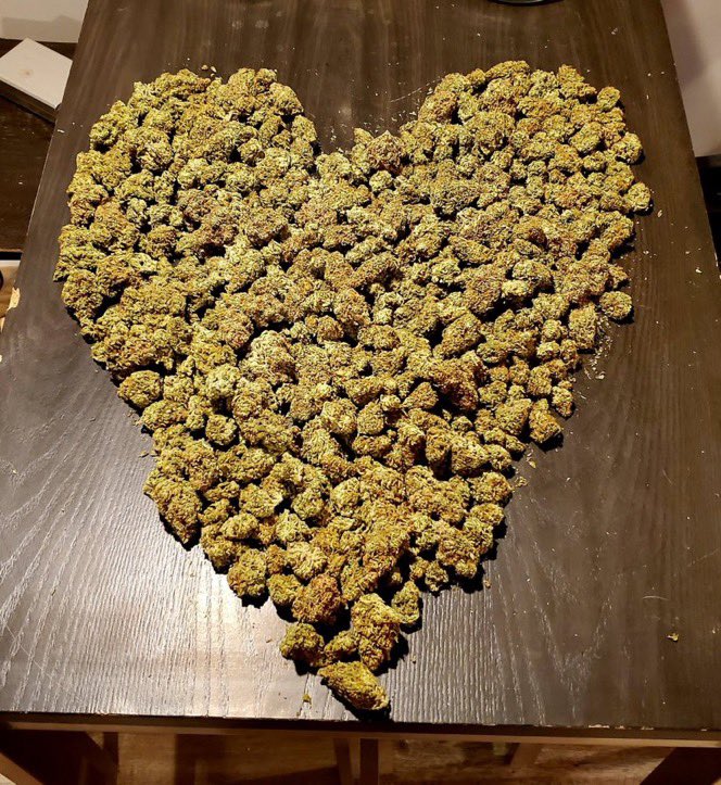IobDutch's tweet photo. A huge Maui Wowie ❤️ https://t.co/fFajHqYNSg