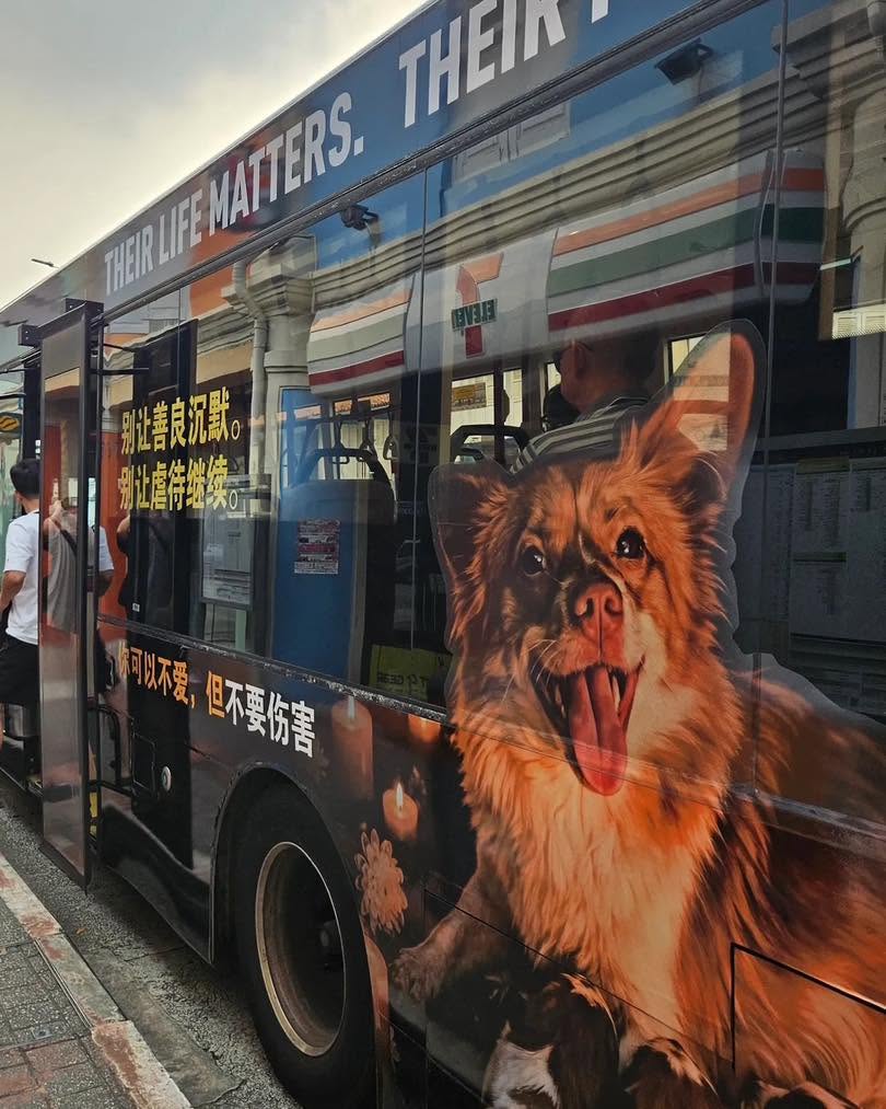 ESpeciesism's tweet photo. シンガポールの旺旺バス。
かっこいいなぁ。
https://t.co/nMvyg0icxe

#JusticeForWangwang https://t.co/Dw5haJMZ5S