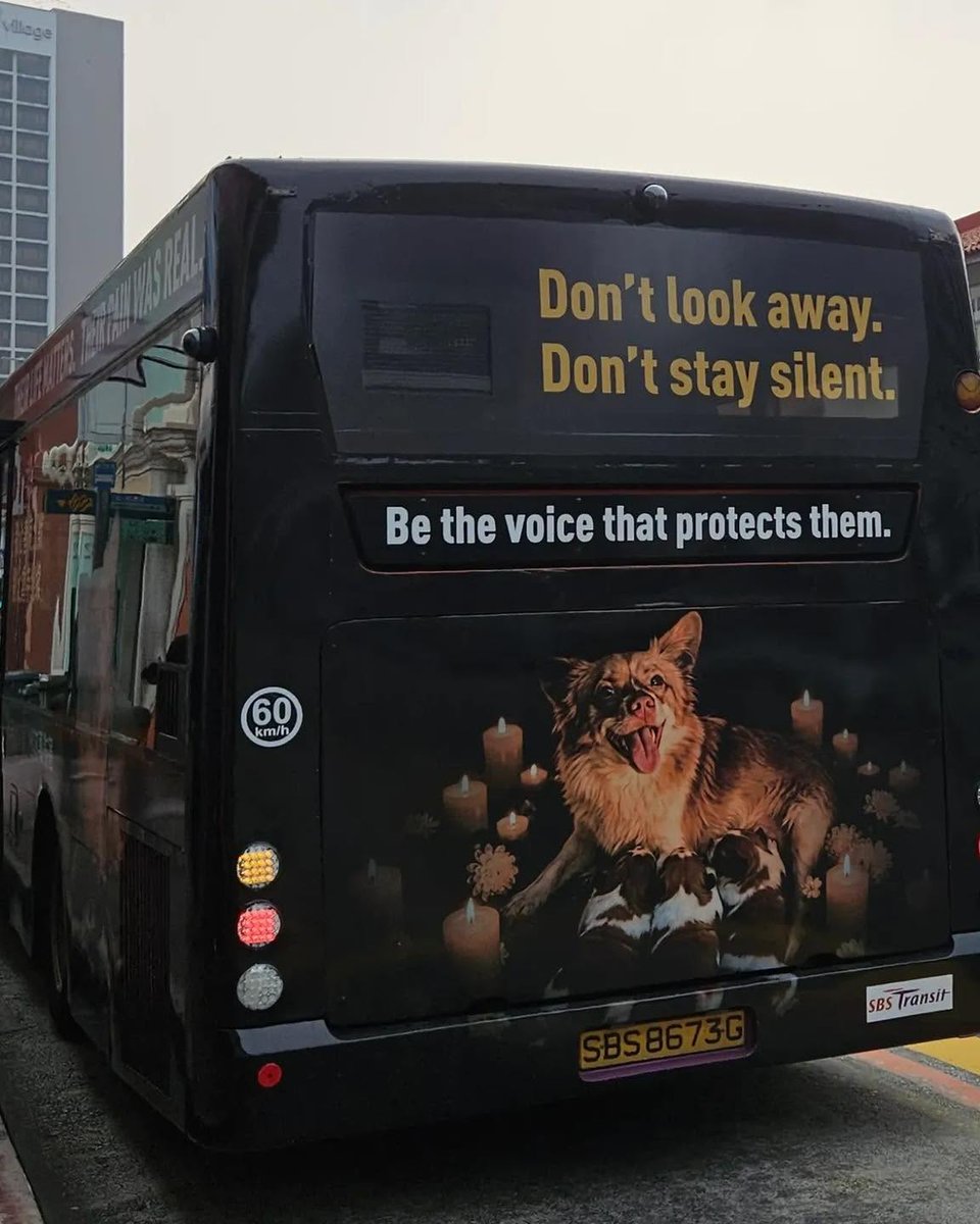 ESpeciesism's tweet photo. シンガポールの旺旺バス。
かっこいいなぁ。
https://t.co/nMvyg0icxe

#JusticeForWangwang https://t.co/Dw5haJMZ5S