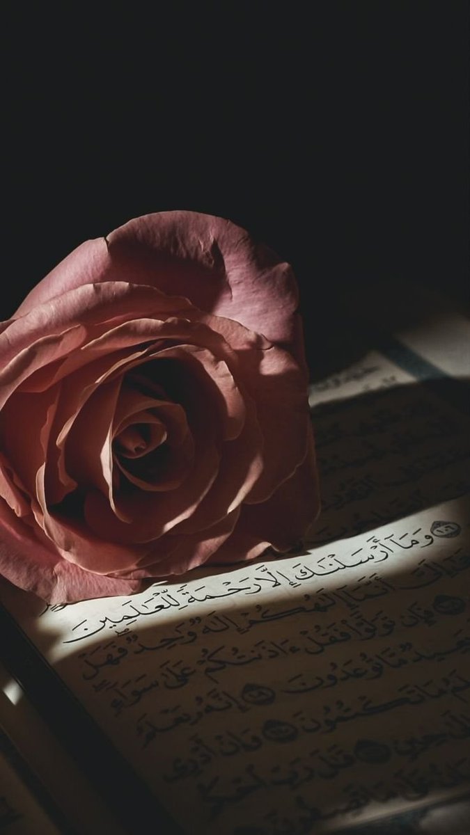 shams_'s tweet photo. دائماً وابداً..
أقترابك من الله يعني أقتراب كل شي تتمناه. https://t.co/VHiOHJfuC0