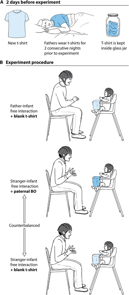 houseofhereaftr's tweet photo. A baby can apparently feel dad’s presence without seeing him or hearing his voice. In a new Science Advances study, babies interacted with a completely unfamiliar man while either their father’s body odor or a clean shirt was placed nearby. When dad’s scent was there, the baby’s brain became more synchronized with the stranger’s brain, and the babies showed more positive excitement and engagement. The researchers describe it almost like the baby was able to “invoke” the father’s presence even though he wasn’t actually in the room. AND the more involved the father was in childcare, the stronger the boost in brain synchrony associated with his scent.