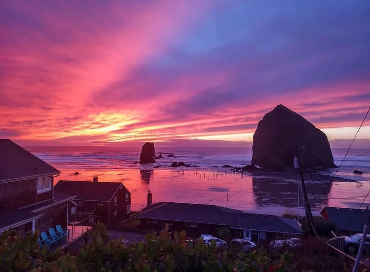 GoDucksnet's tweet photo. Choose your own adventure
#Oregon #BestCoast https://t.co/mufipuvviE