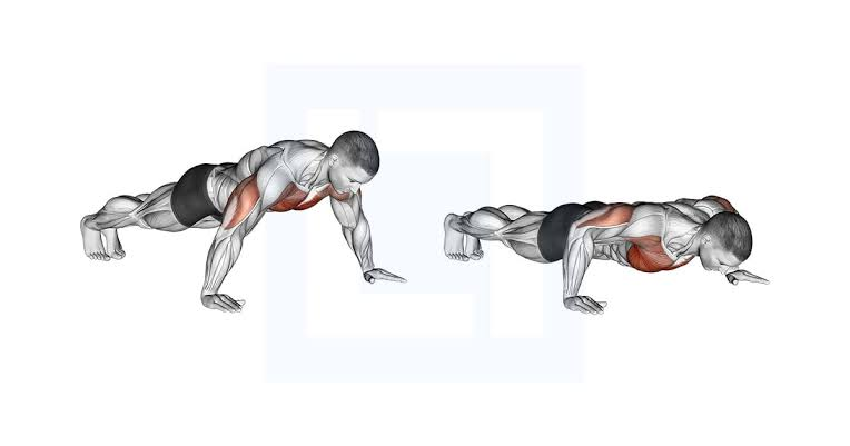 MrVAgrwl's tweet photo. Pushups are versatile bodyweight exercise. They mainly acts on chest and triceps but using different variations we can hit a lot of muscles. Here are some of the most effective pushups which are my personal favourite-

Wide pushups - Chest width https://t.co/jKwESMFUPK