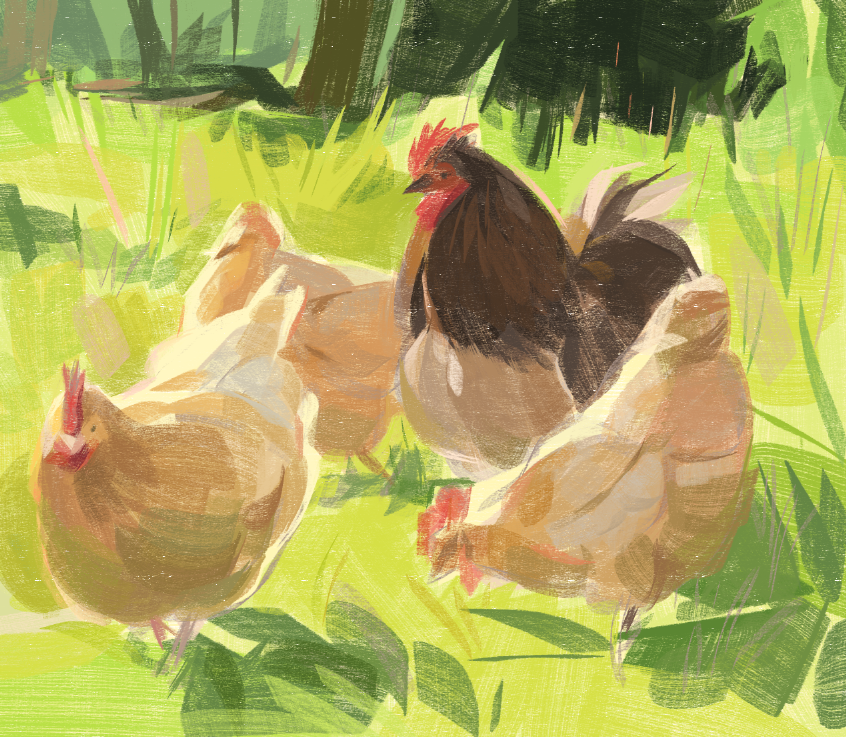 bugcoat7's tweet photo. more chickens....!!!! https://t.co/0AhXmGlZxA