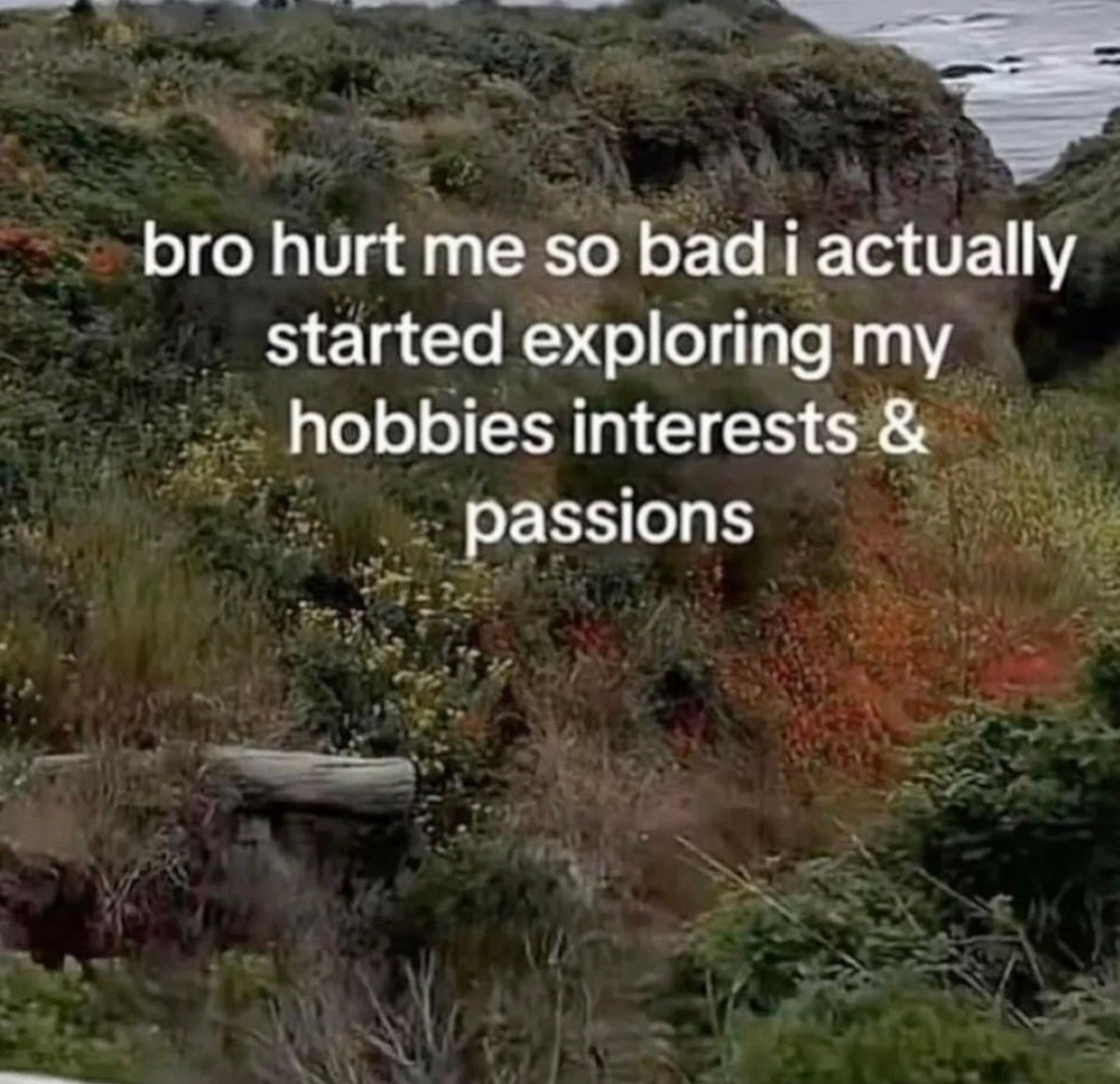 nocontextmemes's tweet photo. https://t.co/m38i8ep4su