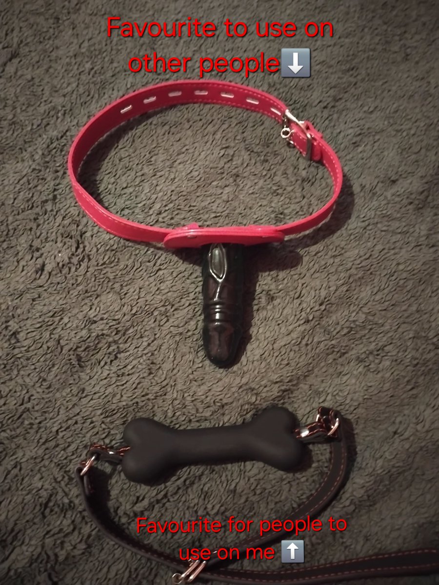 Trans_ChubbyPup's tweet photo. My favourite paddle/whip and gags 🐶  #NSFW #transguy #chubby #spanking #ukNSFW https://t.co/KGrx7X2n0Y