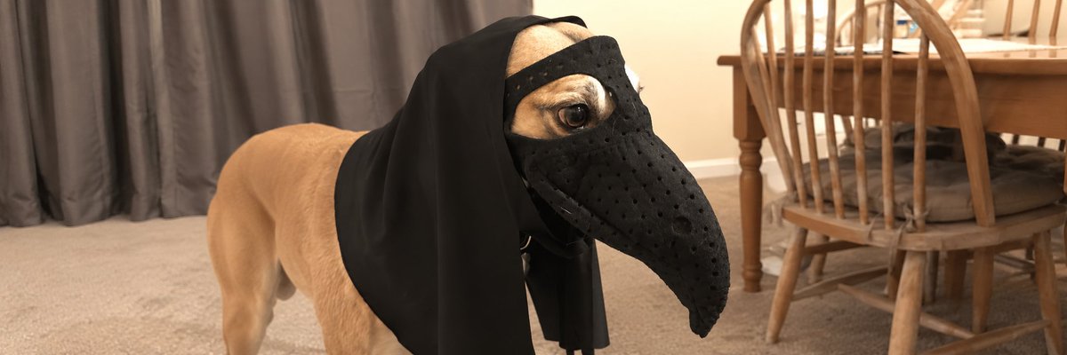goallinxbt's tweet photo. With plague sending at an ATH again

Lets send a meme for once found an og picture of a dog named RIO wif a plague mask

Dog wig plague paired with plague is a runner

dex 25k https://t.co/SHmb4fd0wB