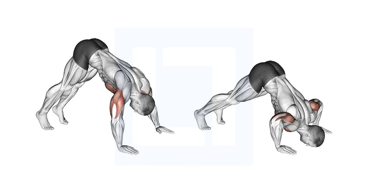 MrVAgrwl's tweet photo. Pike pushups - Shoulder https://t.co/XwhFCIKEC9