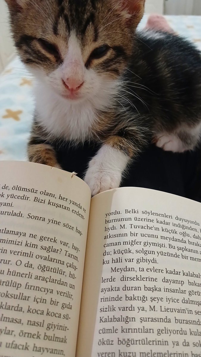 dnzzmuslic's tweet photo. Meraklı 😊 https://t.co/4e2e1vJHYn