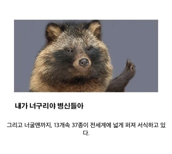 laterinfo_'s tweet photo. 진짜 말하나는 기깔나게 안들을 거 같게 생기긴했어.. https://t.co/YWpS0Fgyq7