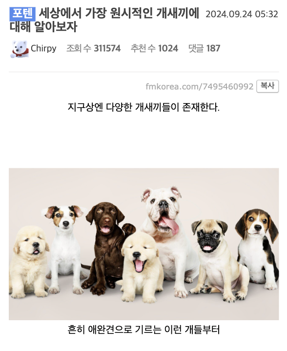 laterinfo_'s tweet photo. 진짜 말하나는 기깔나게 안들을 거 같게 생기긴했어.. https://t.co/YWpS0Fgyq7