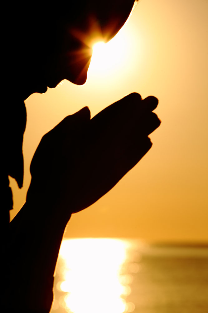 GemmaBloodbqwx's tweet photo. Hoy rezo con todo mi corazón por un día lleno de paz, y agradezco cada pequeo momento que me ayuda a ser mejor. https://t.co/ycJJPhU03d
