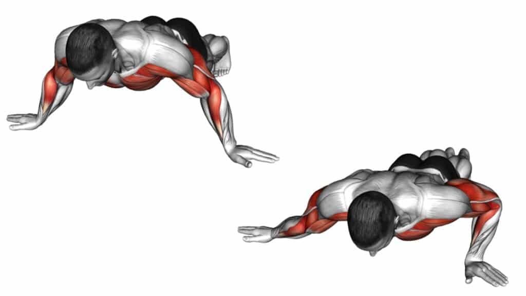 MrVAgrwl's tweet photo. Archer pushups - chest https://t.co/H7eKP2Mfin