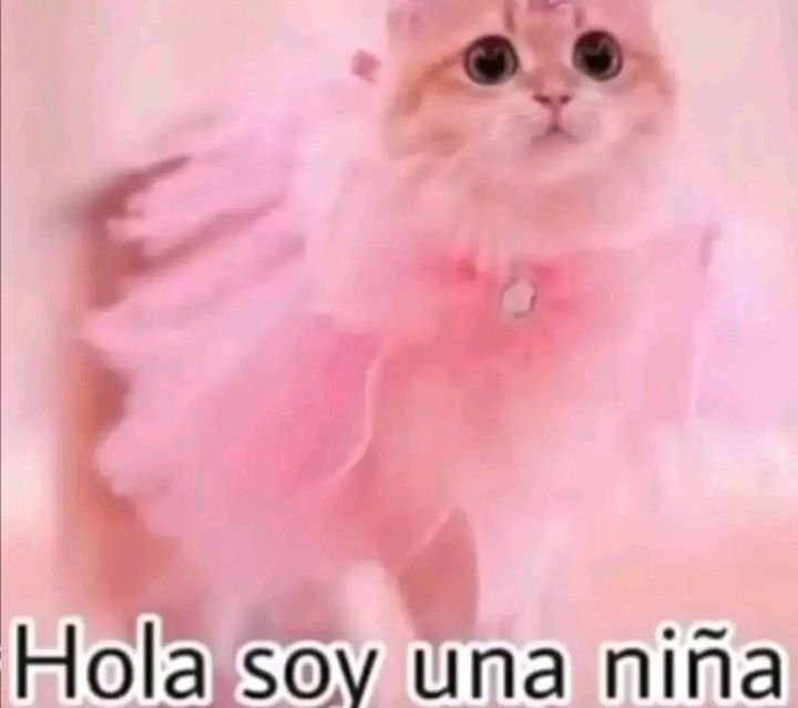 kimoo_0p's tweet photo. hombres que no gimen al besar: https://t.co/xY493stjS1