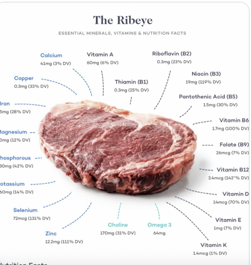 AlpacaAurelius's tweet photo. there is no single food better for your health than steak.

it is a multivitamin, loaded with critical nutrients like selenium, potassium, magnesium, copper, b1, b3, b5,  b6, b12.

it also has bioactives like taurine shown to improve diabetes, longevity, dopamine production...creatine, which acts as an antidepressant and increases muscle growth...carnitine which aids ATP and energy generation...and so much more

the fact they made us fear it is the most heinous crime ever committed on humanity

eat more meat
